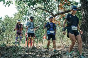 BIB: 
                            <button type="button" onclick="openModal(26098425)" class="btn btn-primary btn-sm float-right btn-popup" data-toggle="modal" data-target=".modal-high-quality">
                        <i class="fas fa-shopping-cart"></i> Add to Cart
                    </button>
                                            <button type="button" onclick="isThisMe(26098425, true)" class="btn btn-success btn-sm float-right btn-popup btn-isme hidden" data-toggle="tooltip" data-placement="bottom" title="นี่คือรูปของคุณใช่ไหม คลิกที่นี่เพื่อเอาเข้าอัลบั้ม">
                        <i class="fas fa-plus"></i> Add to album
                    </button>
                    <button type="button" onclick="isThisMe(26098425, false)" class="btn btn-warning btn-sm float-right btn-popup btn-isnotme hidden">
                        <i class="fas fa-ban"></i> Remove from album
                    </button>